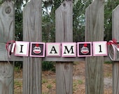 Sock Monkey Birthday - I Am One Banner - I Am 1 Highchair Banner - Highchair Birthday Decoration - First Birthday Highchair Banners