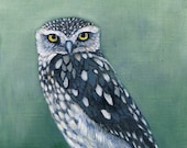 Framed painting of an owl