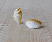 Shell earrings white and gold / summer earrings - DEMI - AMEjewels