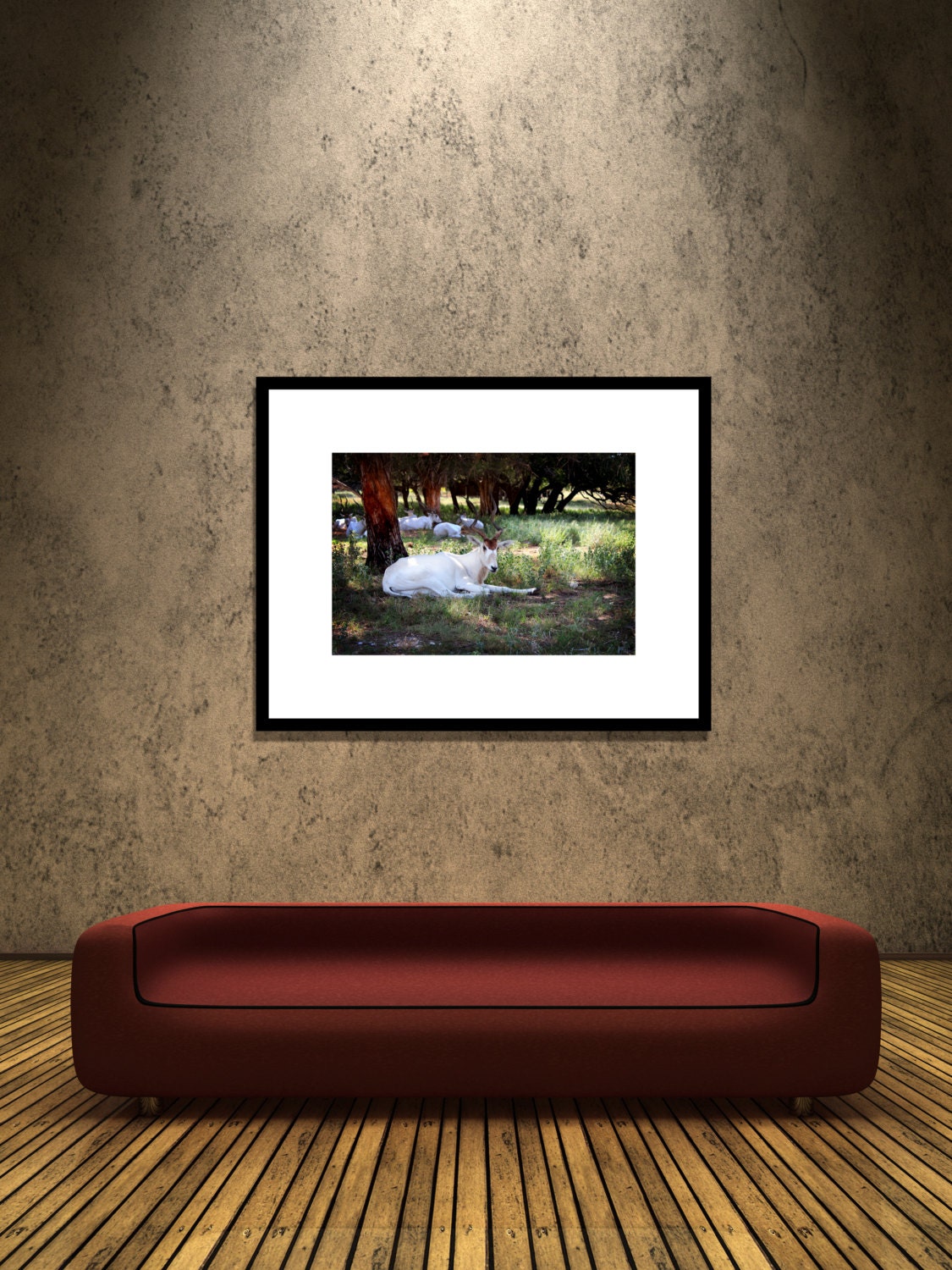 Nature Photography - Lazy Antelope - 8x12 Fine Art Photograph, Landscape Photography, Animal, Affordable Home De