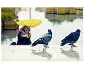Wall decor - Rain photography  home decor sale Reflection birds Photography Colour Unique Photos wall art istanbul photography  8'' x12