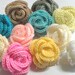15 Pcs Crochet Roses  MA -2