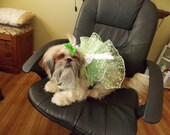 Fun And Flirty Couture Harness Dress