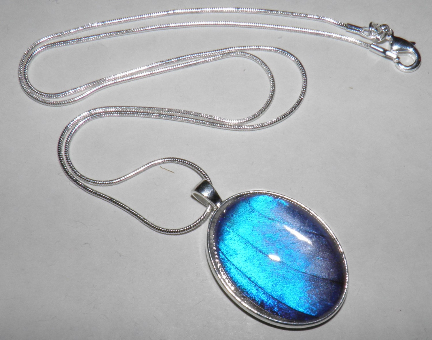 Real Blue Morpho didius Butterfly Wing Oval Glass Dome Silver Plated Pendant, 22 inch Snake Chain Necklace Complete With Lobster Clasp