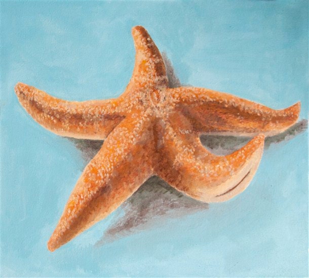 Starfish 11x14 Oil Paint Print