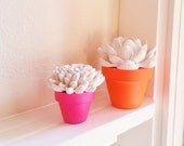 White Flower Sculptures in Modern Neon Pots, Wedding Favors, Flower sculpture duo, Desktop accessory