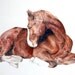 Custom Pet Portrait Colour Pencil Drawing on Paper size A4 / 297 x 210 mm / 11.7 x 8.3 inches / Custom Made from your favourite photograph
