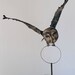 Great Grey Owl