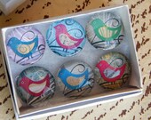 6 Bird Glass Magnets - Sweet Colorful Birds