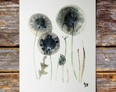 Watercolor painting Art Print 8x10 dandelion flower illustration