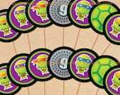 Teenage Mutant Ninja Turtle Inspired Cupcake Toppers Printable, DIY File Il_170x135