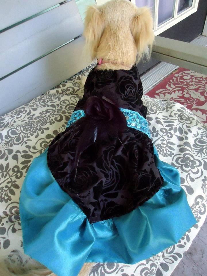 Dog Dress DANCING With The STARS inspired Ballgown Size Small