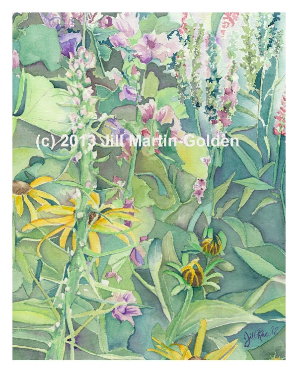 Giclee  Print from Original Watercolor, Part of Garden Series, by Jill Rae, 11" x 14" on Sugar Cane Paper, Lauries Black Eyed Susan