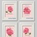 My Rose Pink Plaid Modern Wall Art Prints - Set of (4) 8x10 (Unframed)