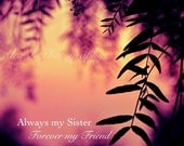 Sister Quote Art Print - pink yellow photo sisterly love photography - 8x10 photography - Always my Sister, Forever my Friend