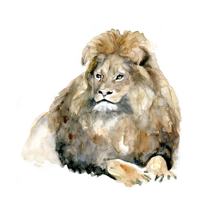 Art Print of a Watercolor Painting of a Lion king . Animal painting. Lion on Fine Art paper by Michelle Dujardin