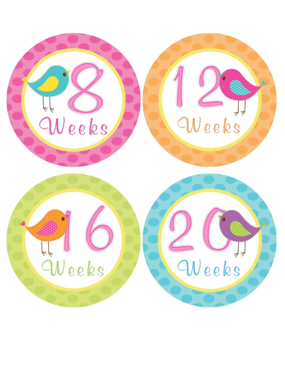Weekly Pregnancy Stickers Belly Bump Stickers Week Baby Stickers Hot Pink Green Bird Maternity Pregnant Expectant Moms Photo Prop - Bonnie-1