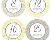 Weekly Pregnancy Stickers Belly Bump Sticker Week Baby Stickers Yellow Grey Floral Maternity Pregnant Expectant Moms Photo Prop - Gina