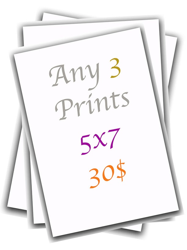 Any 3 prints  size 5x7" - Home Wall Decor Illustration Watercolor Photography - Contemporary Art Posters.
