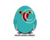 Parrot art illustration-blue Indian Ringneck Parakeet-cute, funny, whimsical turquoise blue, red, orange, grey, pet bird digital design