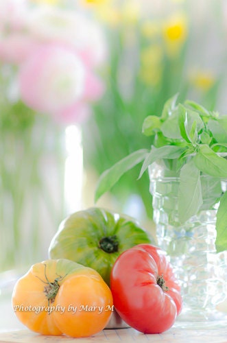 8x12 Fine Art Print of  Heirloom Tomatoes and Basil. Colorful food print. kitchen, dining room decor