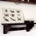 Set of Three Nature Collection Parchment Prints from original Woodburnings Bee Butterfly Bird Moth