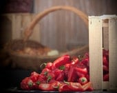 Farmers Market Chilies (Still Life Photography) 14 x 11 printed on matte finish E-Surface Photo Paper