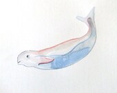 Beluga - Orignal Watercolor - MrPaint
