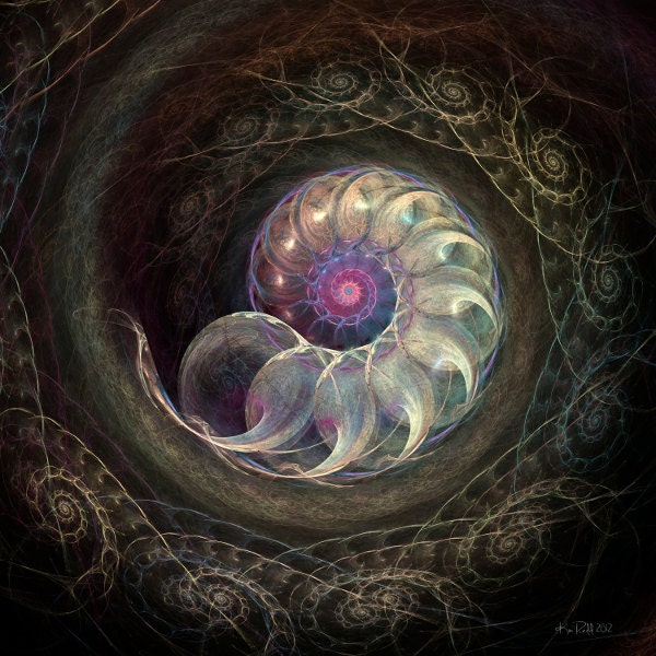 Queen Ammonite