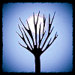 MyHauntedAttic