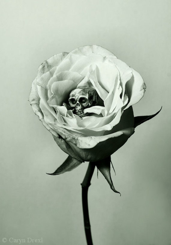 Remorse - FREE SHIPPING - Print Black White Gray Sepia Green Flower Petals Rose Skull Death Bone Still Life Surreal Creepy