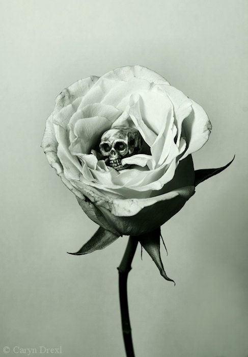 Remorse - FREE SHIPPING - Print Black White Gray Sepia Green Flower Petals Rose Skull Death Bone Still Life Surreal Creepy