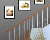 horse photography collection wall art home decor horse lovers horse photograph three 11x14 gift set
