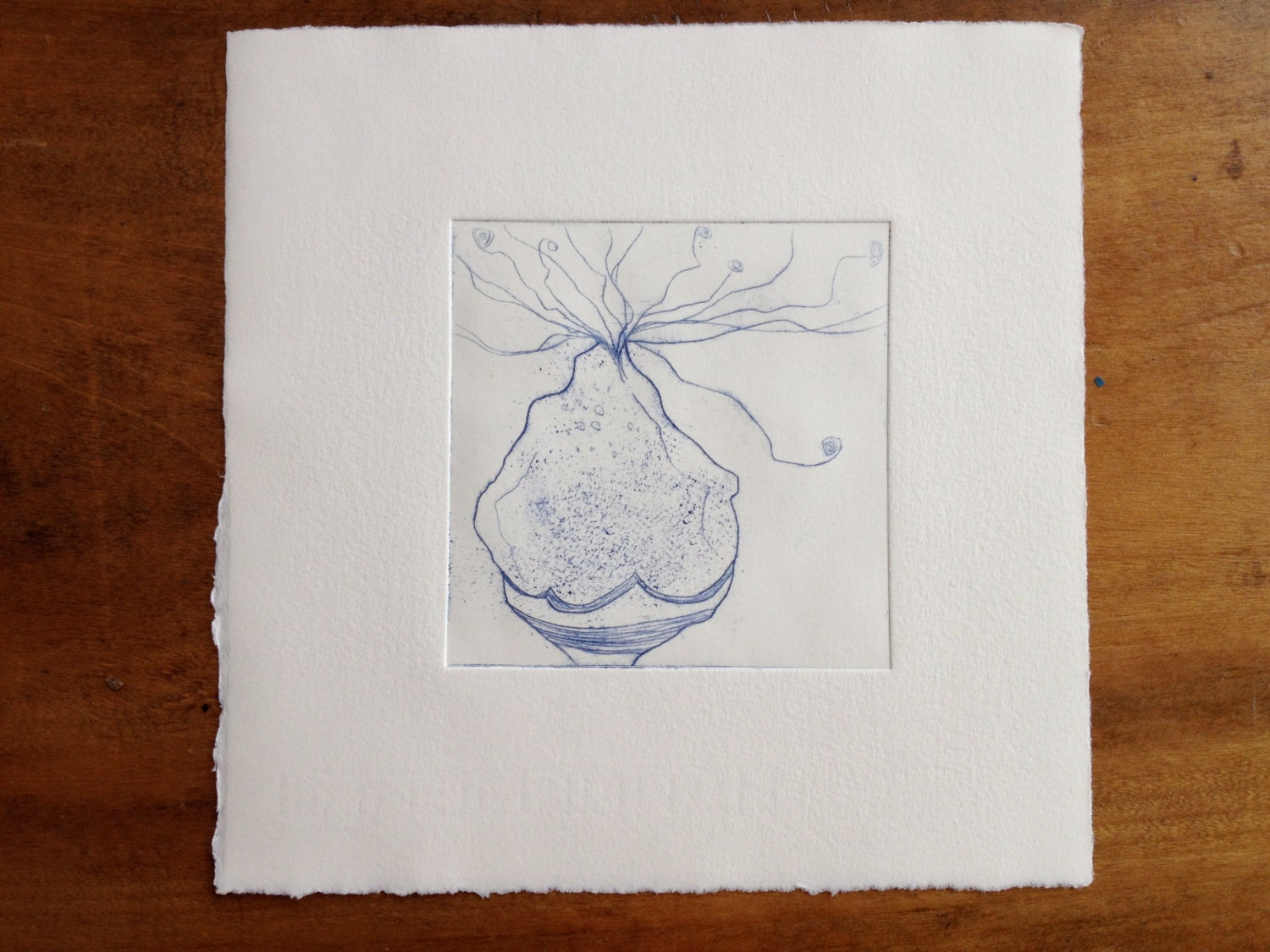 succulent blossom, blue (original etching)