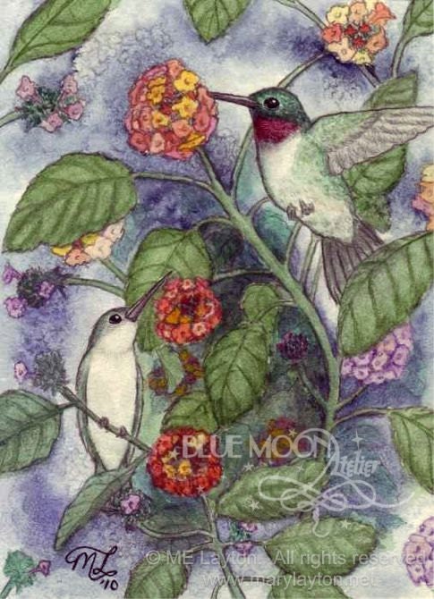 Ruby Throated Hummingbirds on Lantana - bird floral nature signed print - Mary Layton