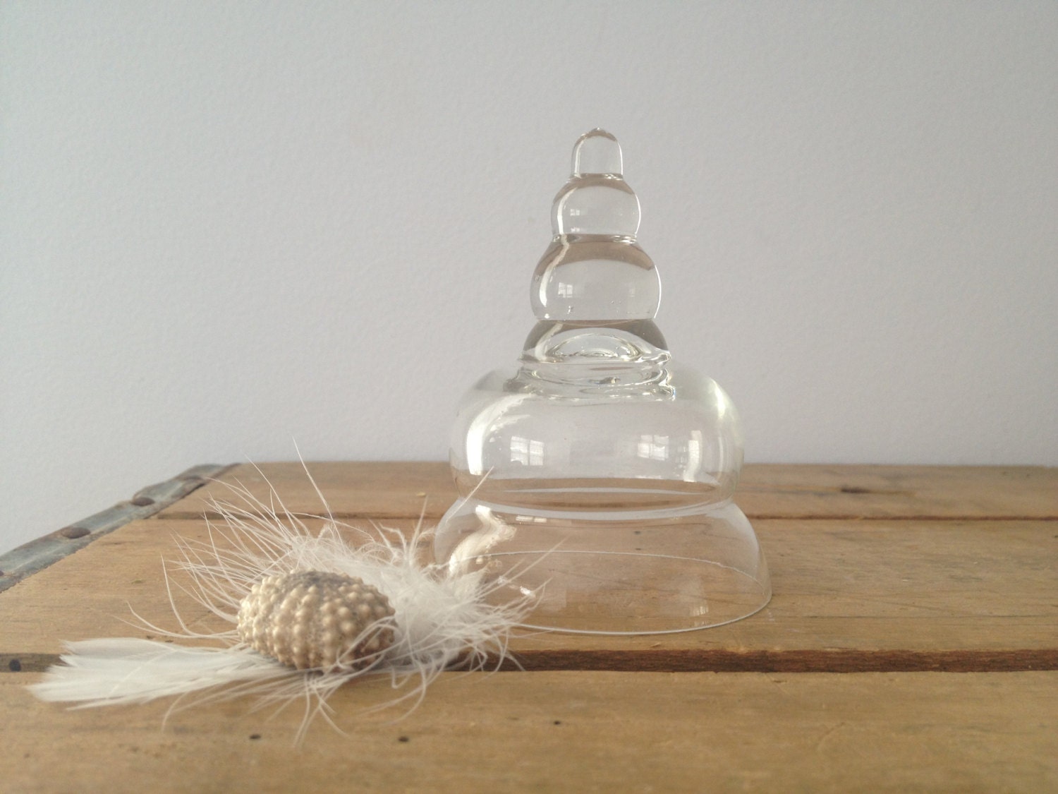 Mini Glass Cloche - Small Vintage Seashell  Unique Shape - Shabby Decor - Glass Dome