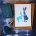 Jackrabbits