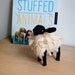 Fluffy Sheep