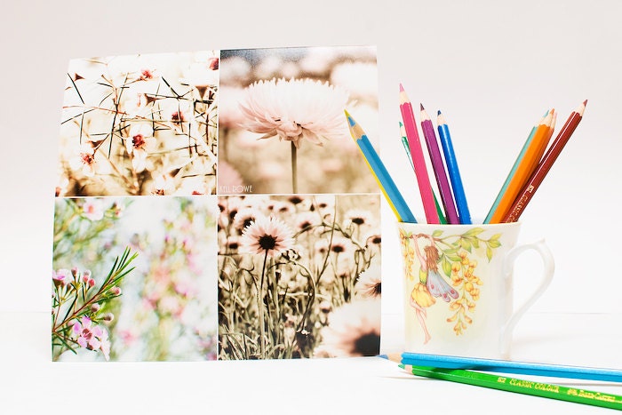 Spring photograph chic pink wildflowers 8x8 print collage Australia home decor bedroom floral decoration