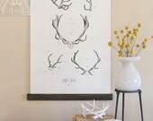 Vintage Inspired Science Posters - ANTLER STUDY VOL 1