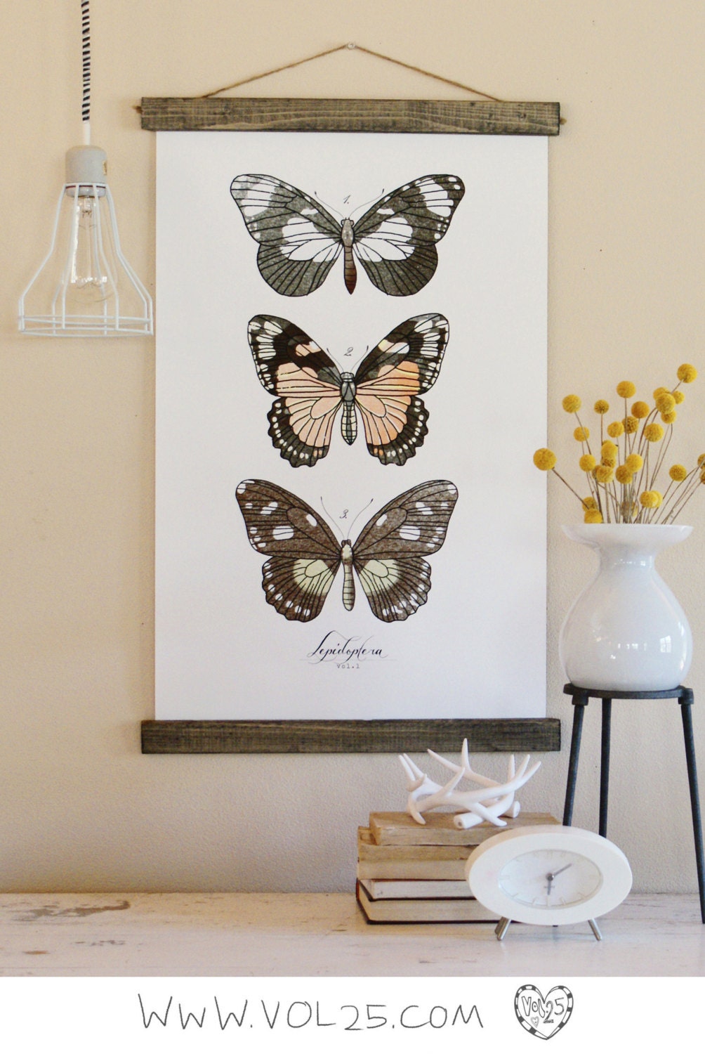 Vintage Inspired Science Posters - LEPIDOPTERA VOL 1