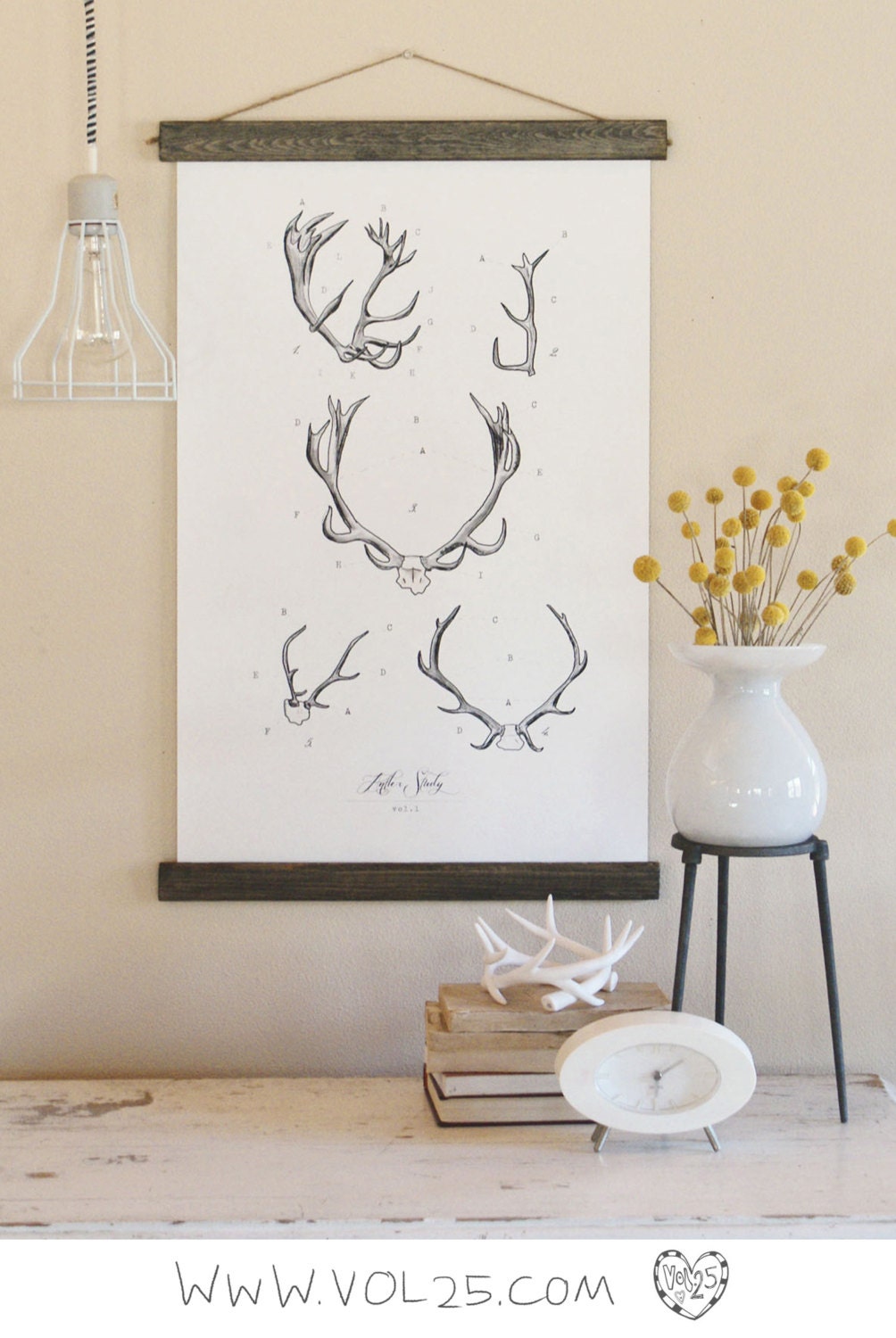 Vintage Inspired Science Posters - ANTLER STUDY VOL 1