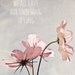 We all have our own song to sing- 8x10 pale pink cosmos flower photo - inspirational, typography, pastel spring summer room decor