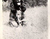 Fun Vintage DOG PHOTO - Precocious Black Spaniel Lab Dog wearing Sunglasses and Flannel Shirt - sweet sweet shot