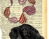 Il  Gattopardo 7