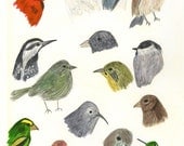 Birds with personality.   Limited edition print by Vivienne Strauss.