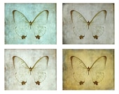 Special Butterfly  Photograph Grouping 4 photos 40% off
