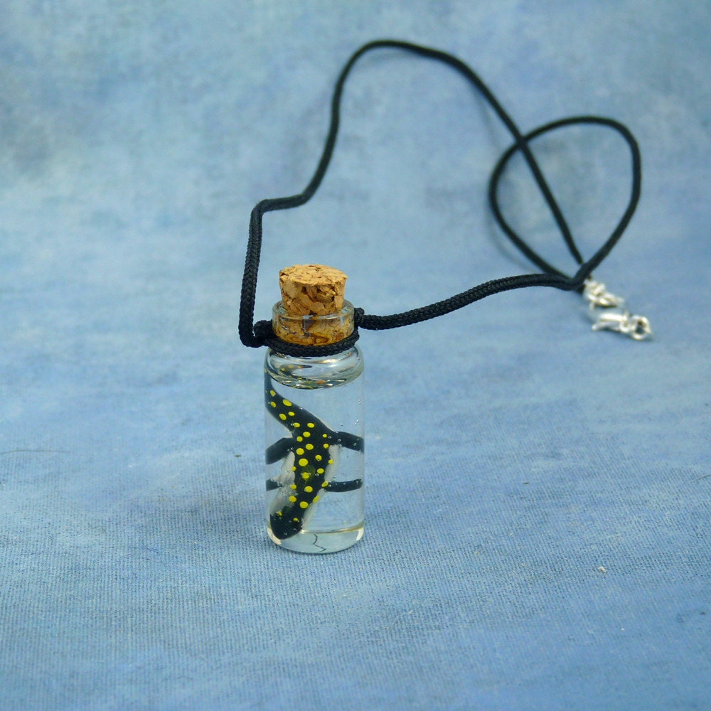 Spotted Salamander Specimen Jar Necklace, Handmade Biology Jewelry