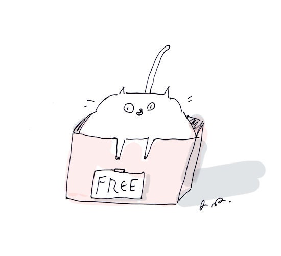 Free Cat- Fine Art Print