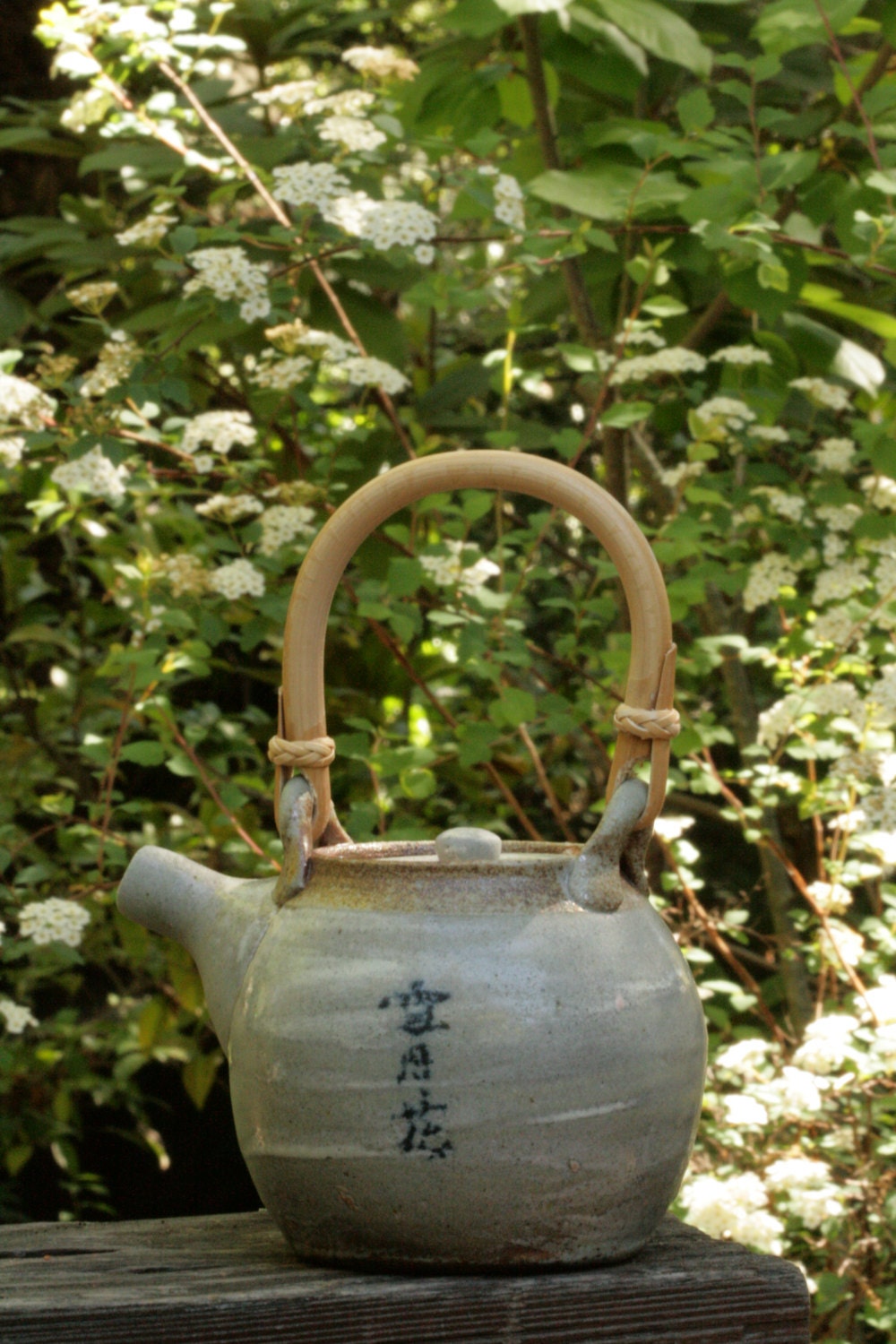 Salt-fired TEAPOT, Setsugekka